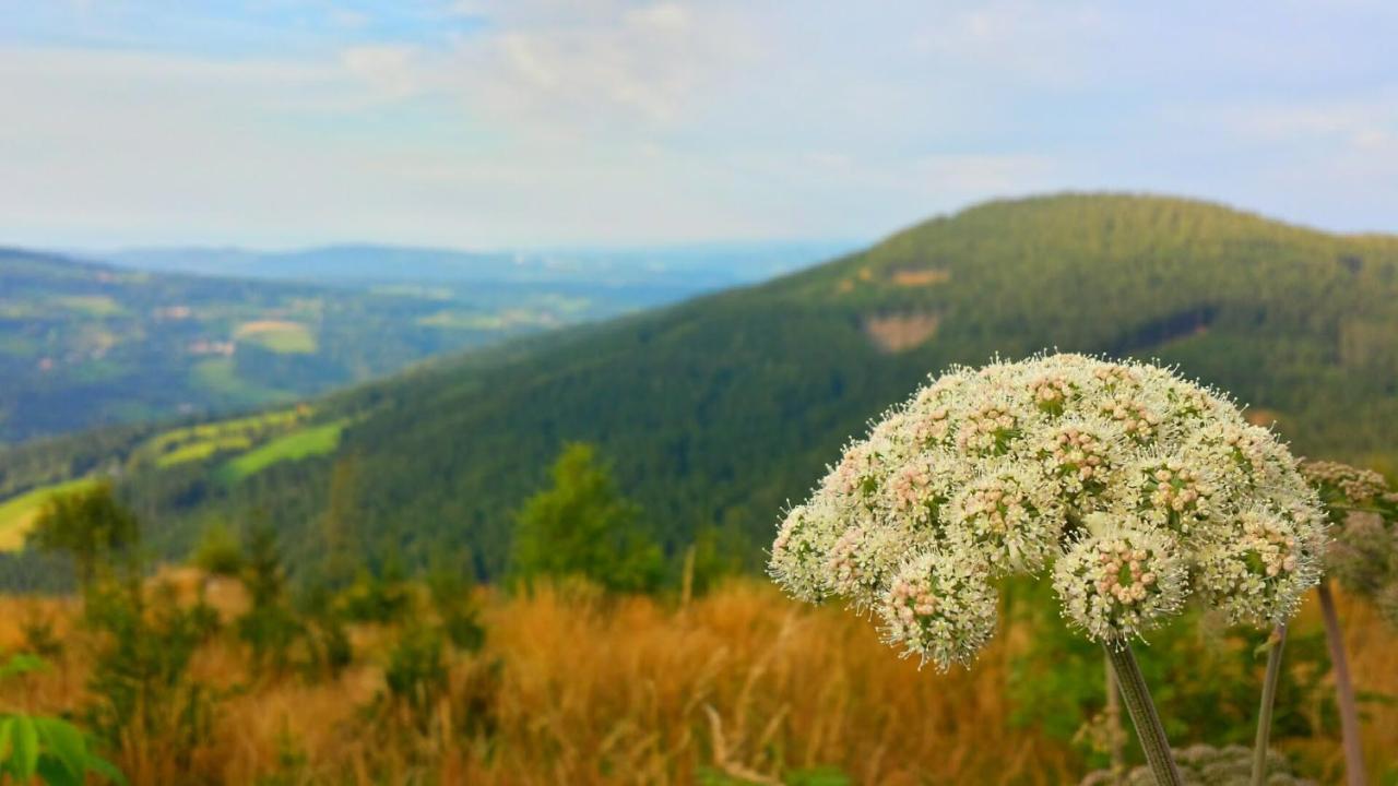 Wald-Panorama-Zimmer Bed & Breakfast Moenichkirchen Ngoại thất bức ảnh